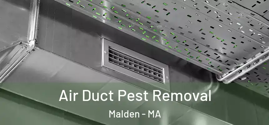  Air Duct Pest Removal Malden - MA