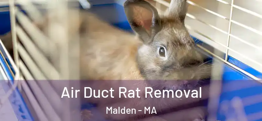 Air Duct Rat Removal Malden - MA