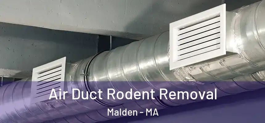  Air Duct Rodent Removal Malden - MA