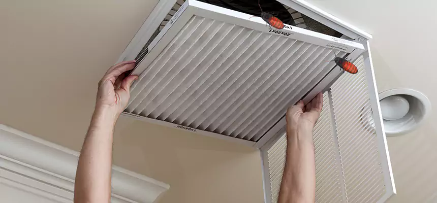 Preventive Cockroach-Proofing for Ducts in Malden