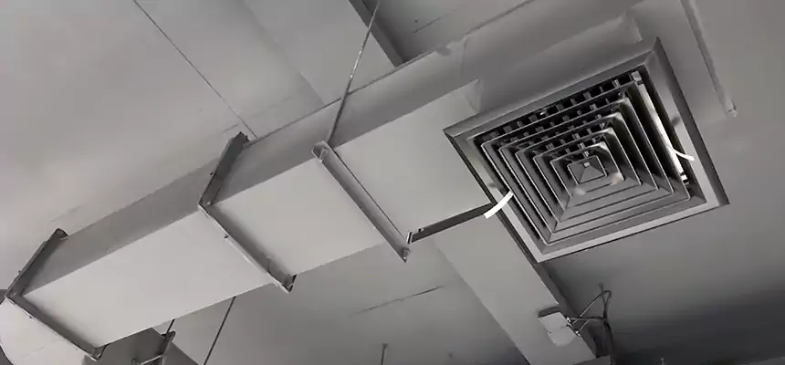 Our Pest Removal From Ducts Services in Malden, MA