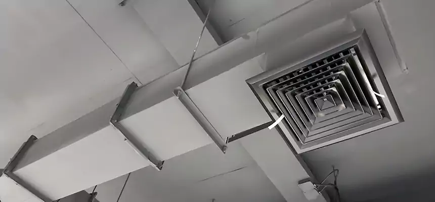 Our Rodent Droppings In Vents Services in Malden, MA