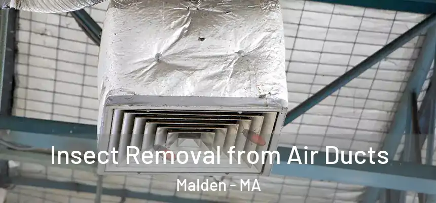 Insect Removal from Air Ducts Malden - MA