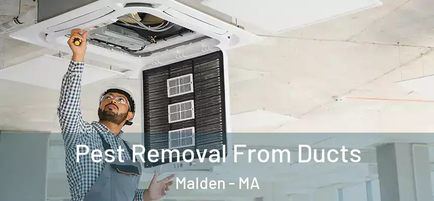 Pest Removal From Ducts Malden - MA