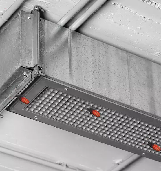 About Air Duct Cockroach Removal in Malden, MA