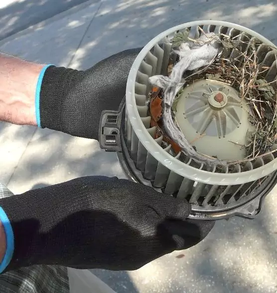 About Air Duct Mice Removal in Malden, MA