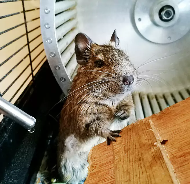 Why Homeowners & Businesses Trust Us Malden, MA