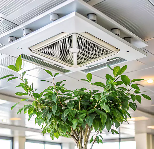 Why Homeowners & Businesses Trust Us in Malden, MA?